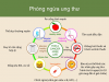 KẾ HOẠCH  HOẠT ĐỘNG PHÒNG CHỐNG UNG THƯ  NĂM 2023